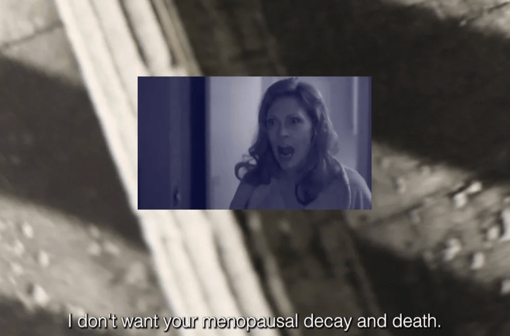 Artwork of a screenshot of a woman yelling with a caption below that reads, "I don't want your menopausal decay and death."